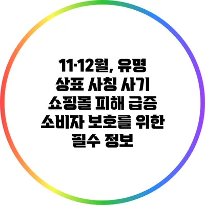 11·12월, 유명 상표 사칭 사기 쇼핑몰 피해 급증: 소비자 보호를 위한 필수 정보