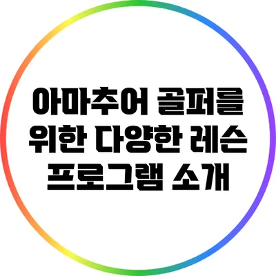 아마추어 골퍼를 위한 다양한 레슨 프로그램 소개