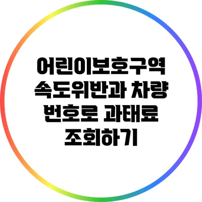 어린이보호구역 속도위반과 차량 번호로 과태료 조회하기