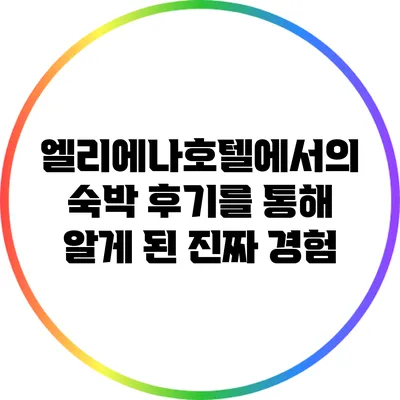 엘리에나호텔에서의 숙박 후기를 통해 알게 된 진짜 경험