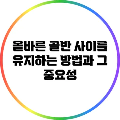 올바른 골반 사이를 유지하는 방법과 그 중요성