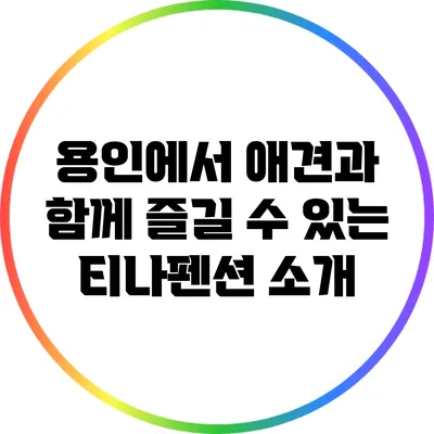 용인에서 애견과 함께 즐길 수 있는 티나펜션 소개