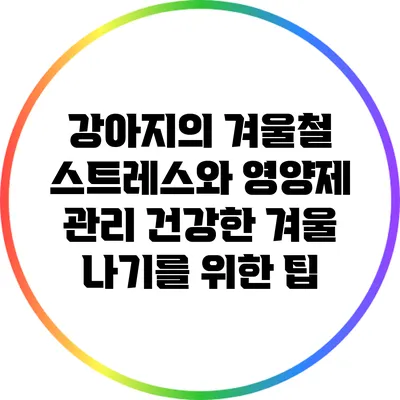 강아지의 겨울철 스트레스와 영양제 관리: 건강한 겨울 나기를 위한 팁