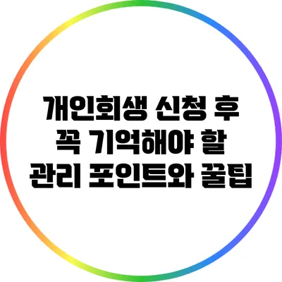 개인회생 신청 후 꼭 기억해야 할 관리 포인트와 꿀팁