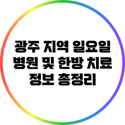 광주 지역 일요일 병원 및 한방 치료 정보 총정리