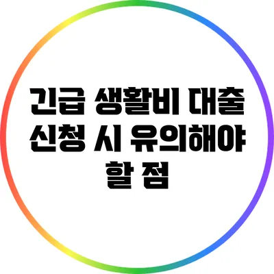 긴급 생활비 대출 신청 시 유의해야 할 점