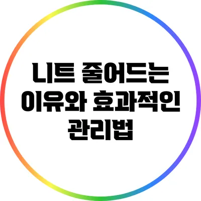니트 줄어드는 이유와 효과적인 관리법