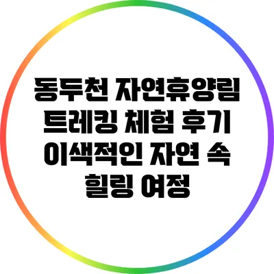 동두천 자연휴양림 트레킹 체험 후기: 이색적인 자연 속 힐링 여정