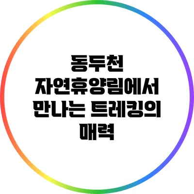 동두천 자연휴양림에서 만나는 트레킹의 매력