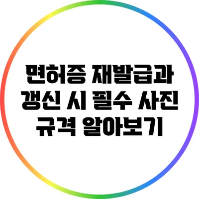 면허증 재발급과 갱신 시 필수 사진 규격 알아보기