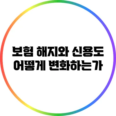 보험 해지와 신용도: 어떻게 변화하는가?