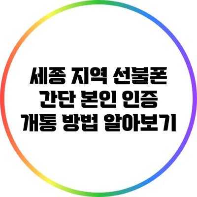 세종 지역 선불폰 간단 본인 인증 개통 방법 알아보기