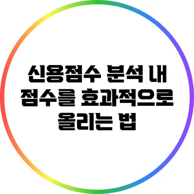 신용점수 분석: 내 점수를 효과적으로 올리는 법