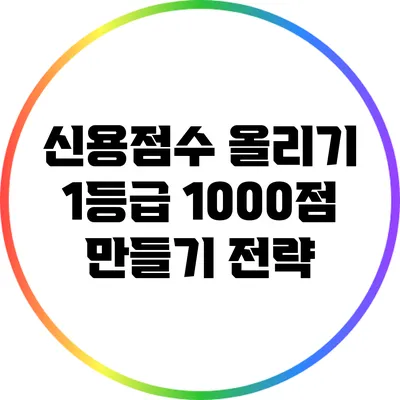 신용점수 올리기: 1등급 1000점 만들기 전략