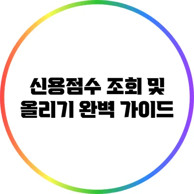 신용점수 조회 및 올리기 완벽 가이드