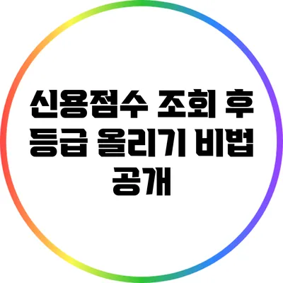 신용점수 조회 후 등급 올리기 비법 공개