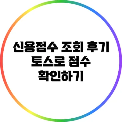신용점수 조회 후기: 토스로 점수 확인하기
