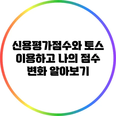 신용평가점수와 토스 이용하고 나의 점수 변화 알아보기