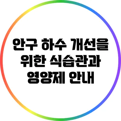 안구 하수 개선을 위한 식습관과 영양제 안내