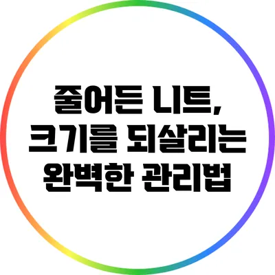 줄어든 니트, 크기를 되살리는 완벽한 관리법