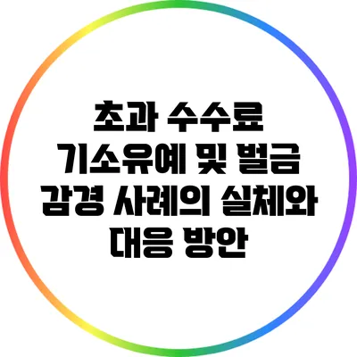 초과 수수료 기소유예 및 벌금 감경 사례의 실체와 대응 방안