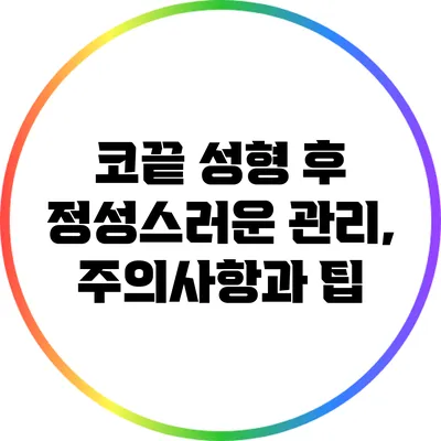 코끝 성형 후 정성스러운 관리, 주의사항과 팁
