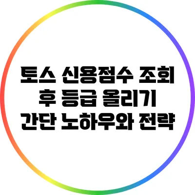 토스 신용점수 조회 후 등급 올리기: 간단 노하우와 전략