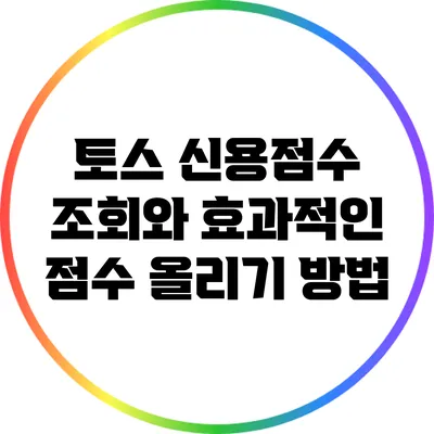 토스 신용점수 조회와 효과적인 점수 올리기 방법