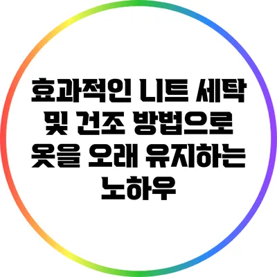 효과적인 니트 세탁 및 건조 방법으로 옷을 오래 유지하는 노하우