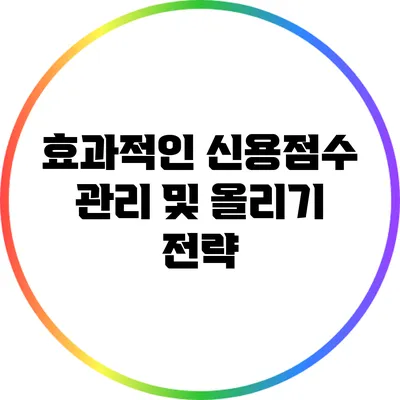 효과적인 신용점수 관리 및 올리기 전략