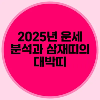 2025년 운세 분석과 삼재띠의 대박띠
