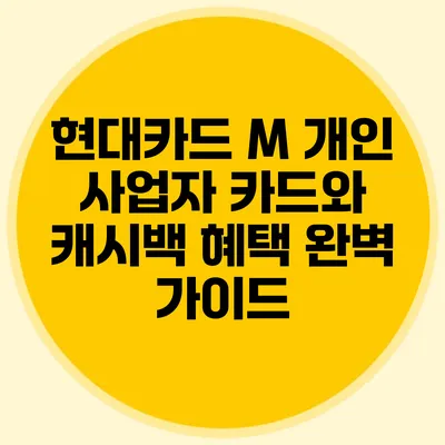 현대카드 M 개인 사업자 카드와 캐시백 혜택 완벽 가이드