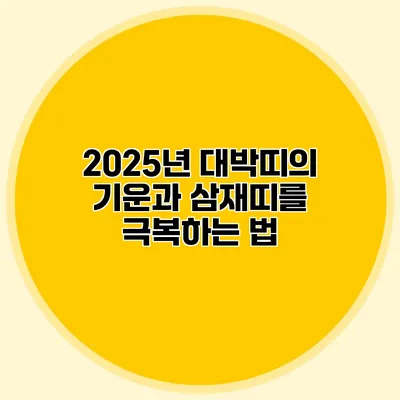 2025년 대박띠의 기운과 삼재띠를 극복하는 법