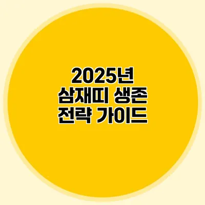 2025년 삼재띠 생존 전략 가이드