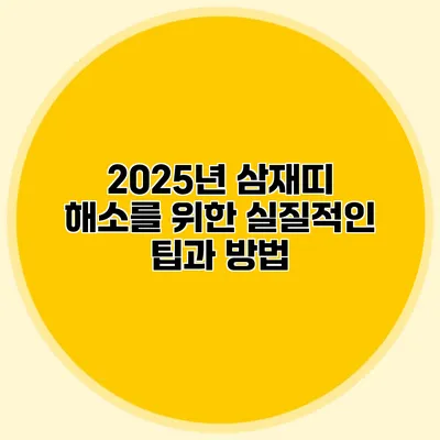 2025년 삼재띠 해소를 위한 실질적인 팁과 방법
