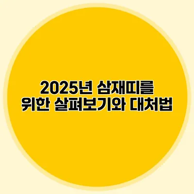 2025년 삼재띠를 위한 살펴보기와 대처법