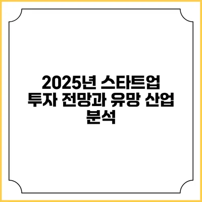 2025년 스타트업 투자 전망과 유망 산업 분석