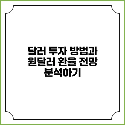 달러 투자 방법과 원달러 환율 전망 분석하기