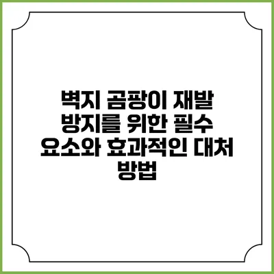 벽지 곰팡이 재발 방지를 위한 필수 요소와 효과적인 대처 방법