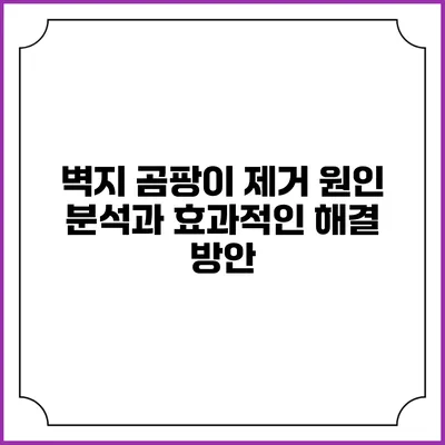 벽지 곰팡이 제거: 원인 분석과 효과적인 해결 방안