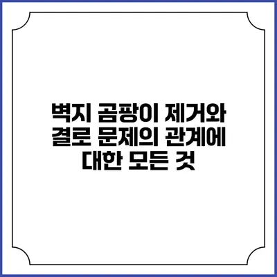 벽지 곰팡이 제거와 결로 문제의 관계에 대한 모든 것