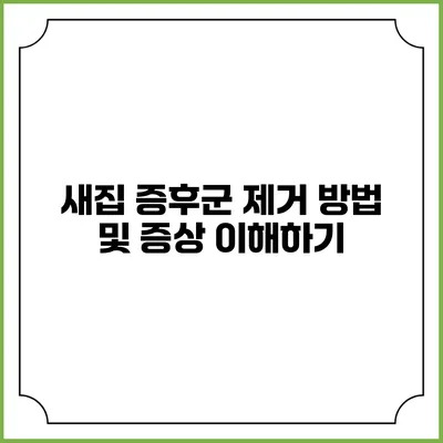새집 증후군 제거 방법 및 증상 이해하기