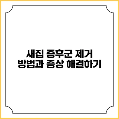 새집 증후군 제거 방법과 증상 해결하기