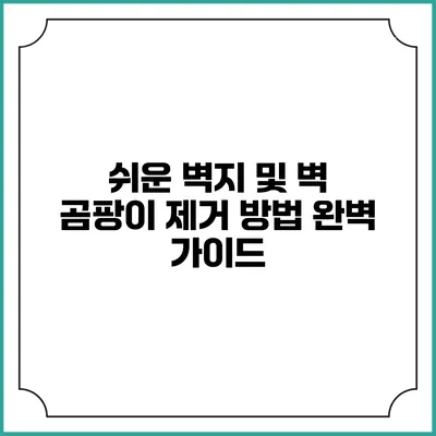 쉬운 벽지 및 벽 곰팡이 제거 방법 완벽 가이드