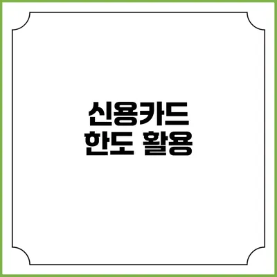 신용카드 한도 활용