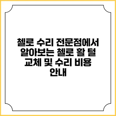 첼로 수리 전문점에서 알아보는 첼로 활 털 교체 및 수리 비용 안내