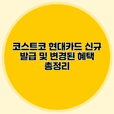 코스트코 현대카드 신규 발급 및 변경된 혜택 총정리
