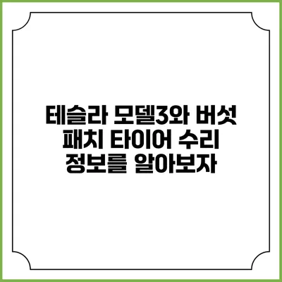 테슬라 모델3와 버섯 패치 타이어 수리 정보를 알아보자