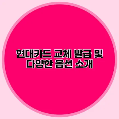 현대카드 교체 발급 및 다양한 옵션 소개