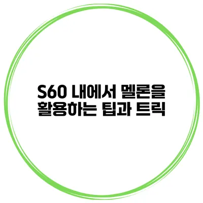 S60 내에서 멜론을 활용하는 팁과 트릭